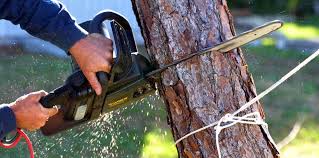 Best Storm Damage Tree Cleanup  in Pella, IA